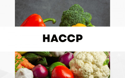 Szolgáltatásunk: HACCP